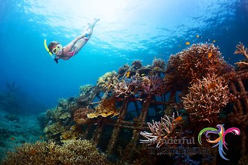 Have fun 1 day in Nusa Penida: snorkeling, kelingking & broken beach incl lunch
