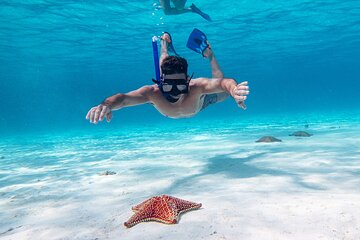 Cozumel Snorkeling Activity