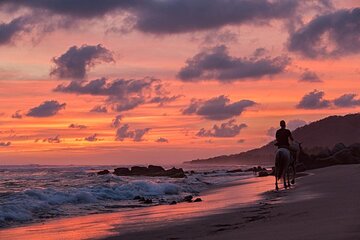 Troncones, Manzanillo Bay and Majahua Beach Private Tour