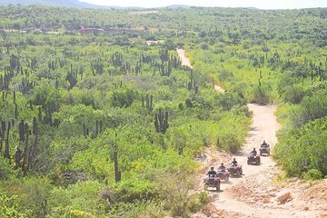 ATV experience among the desert
