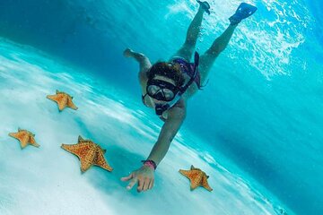 Cozumel Snorkeling Tour, (El Cielo, Palancar and Columbia Reef)