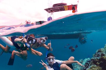 4 Hour Eco-Raft Snorkel & Dolphin Watch Tour from Lahaina, Maui to Lanai