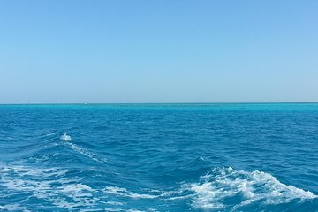 Snorkel tour in Sharm El Naga