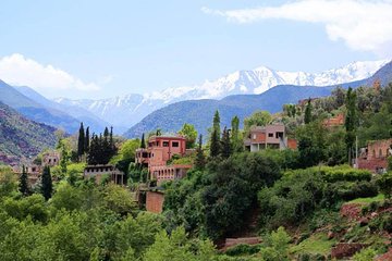 Small Group Day Tour to Ourika Valley from Marrakech