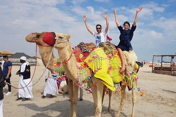 Half-Day Private Desert Safari Adventure from Doha with Pickup