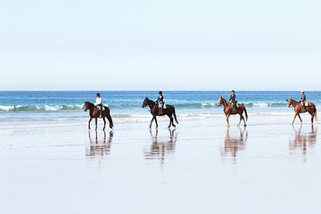 Horseriding,Beachrides,Strandritte,Hipica