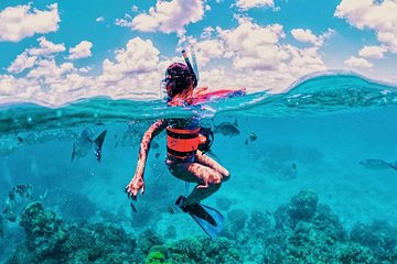 Cozumel snorkeling with Lunch and Transportation Included. From Cancun and RM