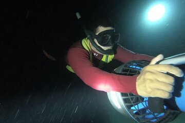 Underwater Night Life: Evening Snorkeling in Cozumel
