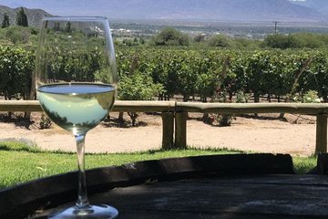 Half day excursion South Wine Routes, San Juan