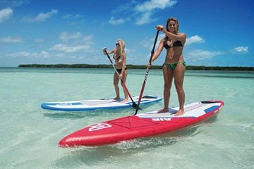Two-Hour Paddleboard Rental with Instruction from Miami Beach Paddleboard
