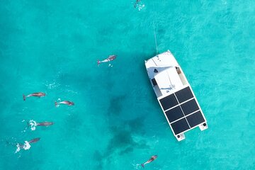 Dolphin Watch & Snorkel- Small Group- 4 Hours