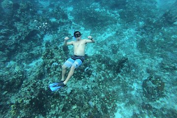Amazing Snorkel at Cozumel Gorgeous Reef!