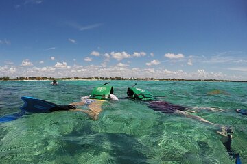 Snorkeling with Caribbean fish & underground river adventure