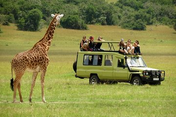12-Days Best Of Kenya Big Five Wildlife Private Safari