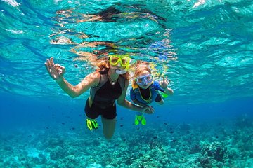 Snorkeling and Mimosa Tour from Punta Cana