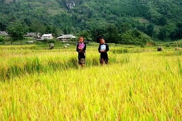 SAPA TOUR 2 DAYS 1 NIGHT BY BUS ( Overnight in Local Homestay)