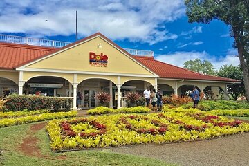 Dole Plantation, Haleiwa Town and Green World Coffee Farm