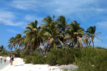 Isla Contoy Day Trip: Snorkeling at Ixlache Reef and Eco-Paradise Tour