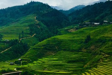 2 Days Private Sapa Trek with Black Hmong Tribesman