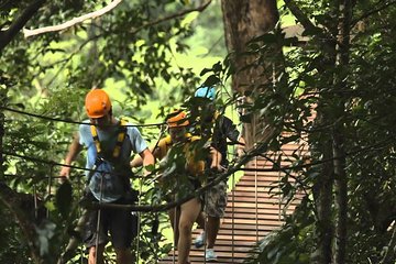 Flying Hanuman Zipline with Private Transfer