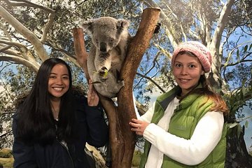 Australia Multi-City Attractions Pass