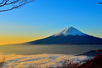 1 Day Private Tour Mt. Fuji, Hakone and Lake Ashi with English speaking driver.