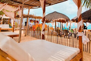 Adventure full day Isla Barú + Mangroves + Snorkel + bioluminescent plankton