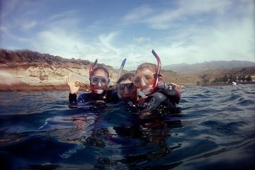Snorkelling safari in the south of Tenerife
