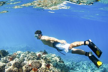 Bali Blue Lagoon Snorkeling & Lempuyang Temple Tour