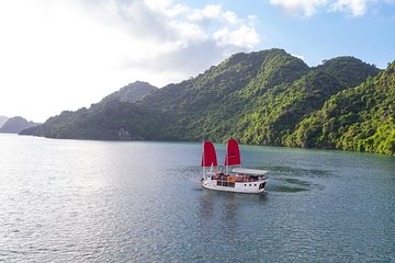Amazing Sails Explorer- Private Day Tour from Ha Long International Cruise Port