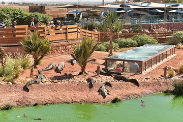 paradis plage yoga surf & taghazoute bay to Agadir Crocoparc transfer included