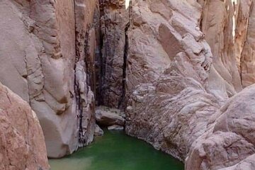 Grand Canyon & extreme safari & snorkeling from Sharm el sheikh
