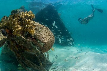 Snorkel Experience in Isla Mujeres from Playa Mujeres