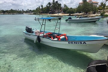 Save 20.00%! 1/2 Day Snorkeling Bayahibe