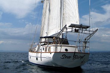 Snorkeling and Sunset Cruises