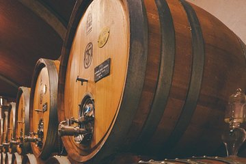 Amarone Wine Tour from Venice