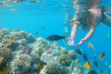 Carnival Super Snorkeling Full Day Hurghada