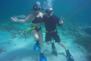 3 ADVENTURES: Sailing Catamaran Cruise - Hooka Diving - Snorkeling
