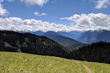 Olympic National Park - Private Luxury Day Tour with Lunch