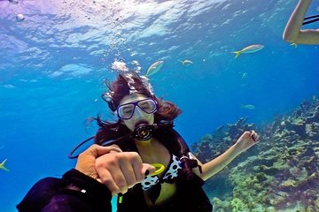 Full-Day Snorkeling Adventure in Giftun Island from Hurghada with Lunch