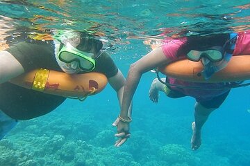 Key West Combo: Hop On Hop Off Afternoon Snorkeling