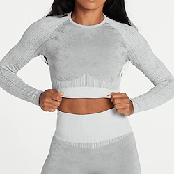 Women's Crew Neck Yoga Top Winter Cropped Solid Color Black Burgundy Spandex Yoga Fitness Gym Workout Tee Tshirt Top Sport Activewear Breathable Quick Dry Comfortable Stretchy Lightinthebox