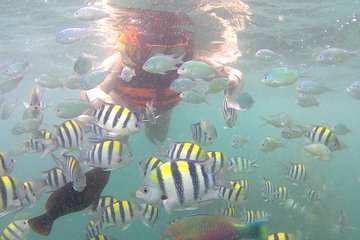 Snorkeling Trip to Gili Nanggu, & Gili Kedis Small Islands