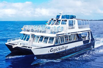From Lahaina Harbor: Lanai Snorkeling & Dolphin Encounter Aboard Quicksilver