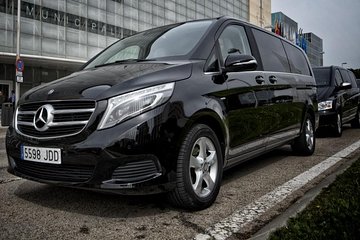 Copenhagen by Yourself with English Chauffeur by business car or luxury van