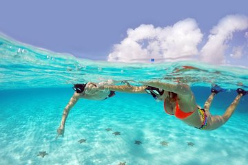 Snorkeling Cozumel Arrecifes ParaÃso Bajo, Profundo and Villablanca