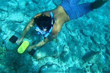 Kauai Snorkeling Adventure