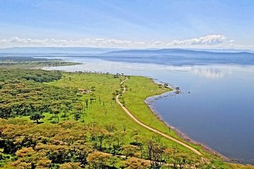 Lake Nakuru Safari Day Trip from Nairobi