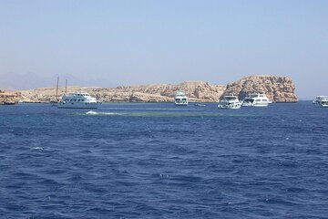Tiran Island Full Snorkeling Sea Trip Day With Lunch, Transfer - Sharm El sheikh