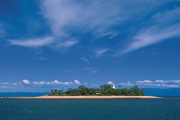 Afternoon Low Isles Snorkeling and Sailing Cruise from Port Douglas